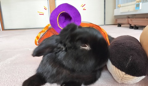 9D46E0CA-E34E-4ACF-B720-E0D98F952584