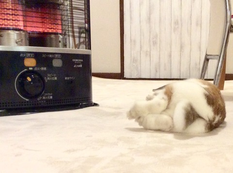 38A02949-6D6A-4323-AF9B-657BC392D72C