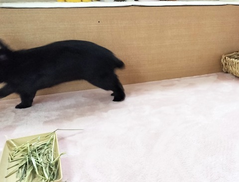 8B058216-02B2-4BAB-9DA7-B89D916FAFE9