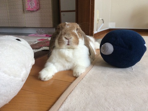 DA7F6320-2476-4481-8131-1914C1BA664B