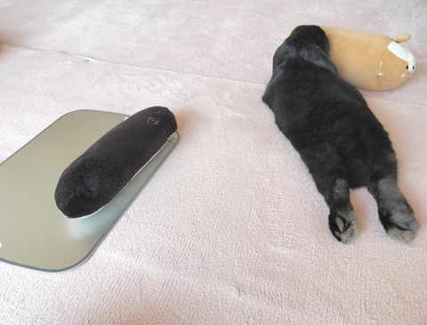 DC7D6536-8272-4ADE-A3D8-768F4107F18B