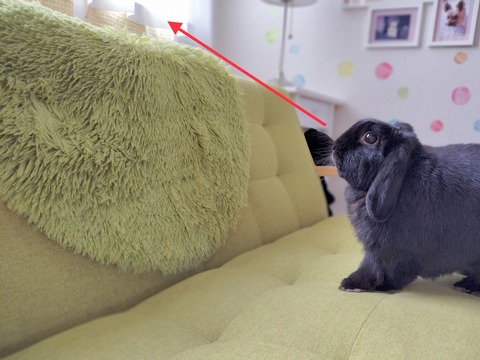 85E1E80D-211E-4BA4-8132-56284C477365