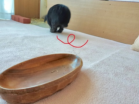 E6F6AA2F-727F-49C0-9A19-25BDEFC5CBB5