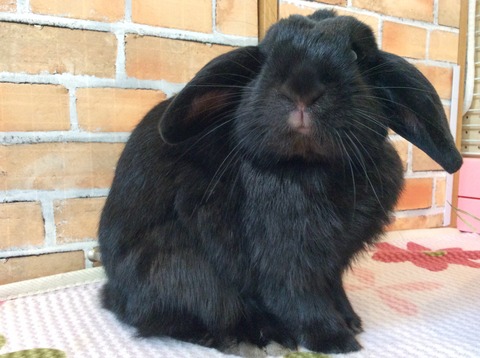 42F19FA4-56FE-4F28-B83D-20F6AEC278EA