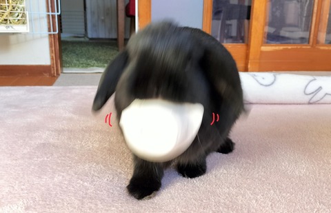 267C4560-7361-401F-B747-EDB0BD7FF96F