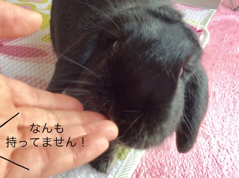 6D553BB6-1C62-4063-B329-6E5CBD53F5F8