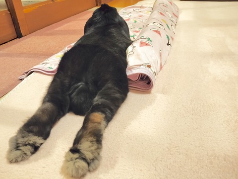 A2FC6D92-D4C0-4B70-BA19-6ACABEB27F37