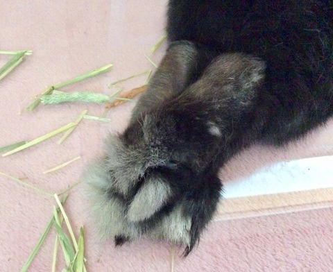 98929220-24B6-4968-BC18-91F6248770A5