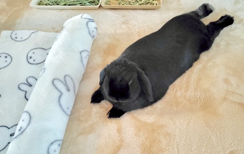 D247EB39-D02D-452B-A5E6-040A4760159C