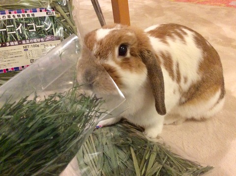 2F5AD8E0-46B3-4C74-AA06-564AAF632F31