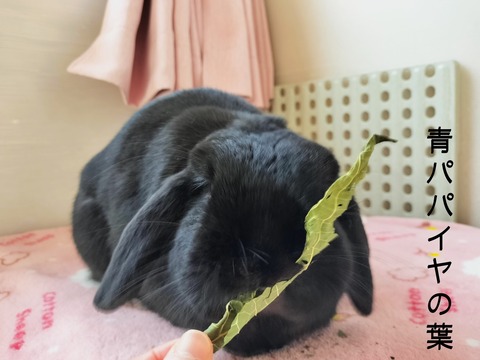 F06E999C-65D6-4AEB-9E57-899886E508D6