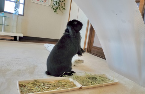 7D47761A-1758-4DEE-B731-8F56C1928BB4