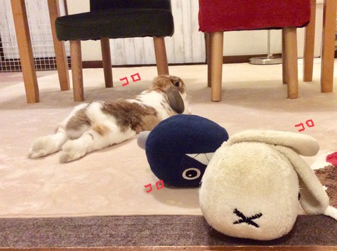 389857FF-5E8F-4734-80DA-F3DAC4BDA3A5