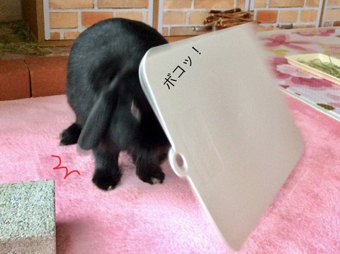 4CA4D313-5F7C-401B-8662-A12C6C58205C