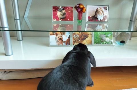 C63FC6C4-36CB-4DC9-BA27-825256063FC6