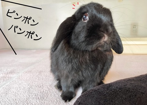 8E3FF4F0-7E85-47DA-A0F0-555519F53861