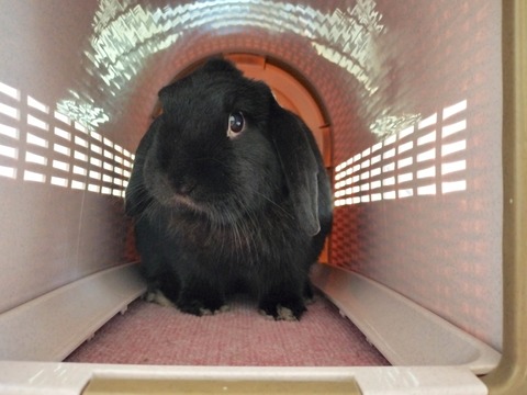 B520D1CD-E672-4358-BDD5-A3FD26B0F910