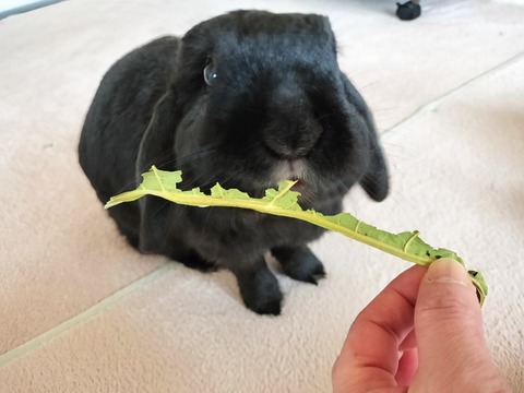 C136CCF1-96E2-40A9-92EA-B935E9F60FFF