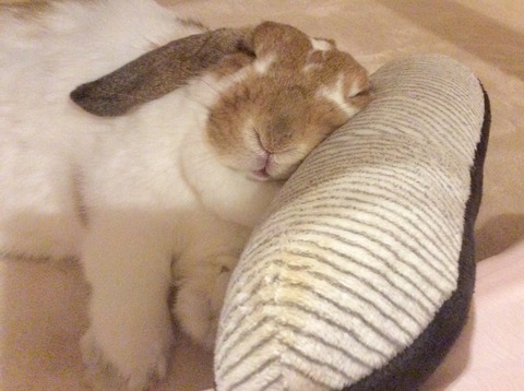 FDC71FDF-F975-42E5-B64A-926DD7619F4D