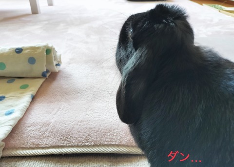 DF0084FC-77A3-4284-B015-AAAB56993F40