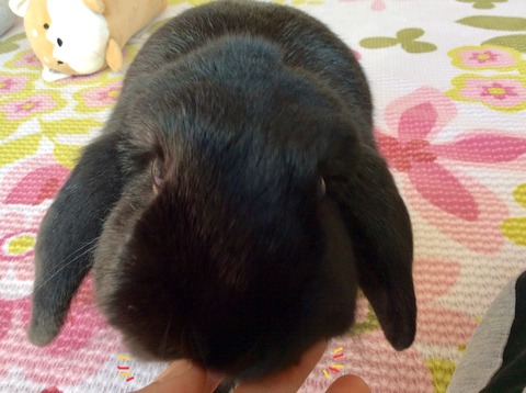 6F234FED-4248-4AB0-98E6-7E52CAEF1CE6