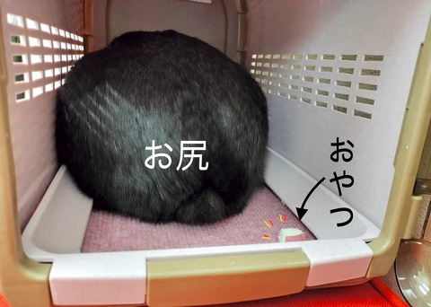 BD9619CD-4581-49CD-B9FB-8AE346439844