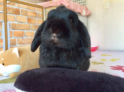 AD6AFE5B-3B9E-46E0-9FAE-D44A9E2FDA14