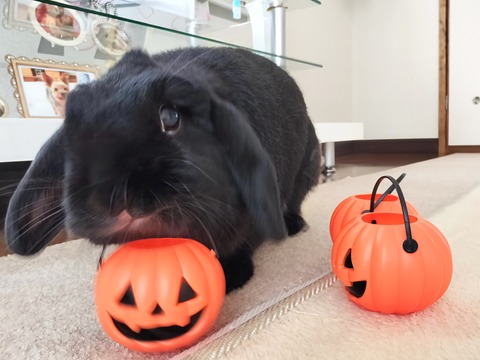 2D3ABC4E-80EC-4CD0-903B-6593D0ACFD79