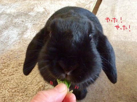 1F57FF0E-4DCF-4A61-B770-75030B366352