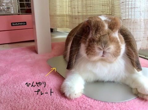 AF9A3591-9FF5-45B3-9817-063054F0AB6D