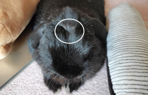 B19F336A-06F2-4D85-B7D1-96ABB9E88E64