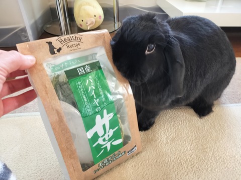 9AD7AB4D-ED01-416D-94C9-6A43271711E1