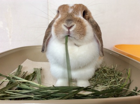 8F623938-E302-4E46-9714-C602DF47FC2B