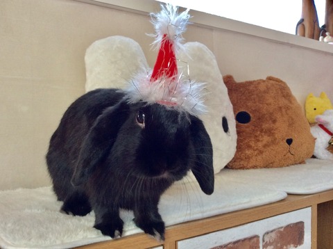 C2EE8014-A526-48D3-8F5E-FBE8DF93ED42