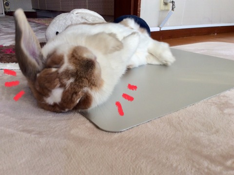 6C7D5371-D01F-4938-9127-F2C165009C44