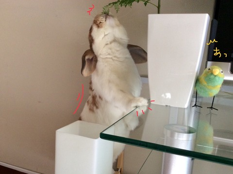 A73B929E-12E7-4BBA-9F0E-7C38E306D5D7