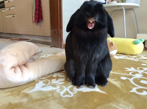 8EAA36B8-3196-4DC6-8638-E72EBBA8A3AE