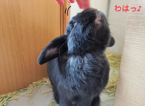 2B0E3F26-EC1D-4BA1-83A1-3142775323B1