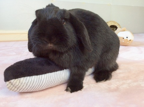 C570CA22-909D-49AD-BC77-EA9E75ABF4DF