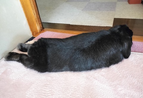 80ABA6C3-4B5B-4613-B53F-C9698CA970E8