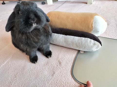 B114285F-EEB3-480F-A514-AEDEF87D528A