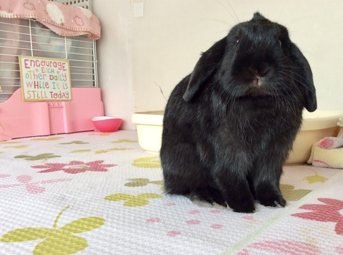 4624B8AE-8ECB-4684-ACE3-4A9E59B17FC9