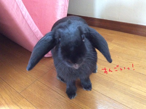 1CB3F392-9142-4101-8456-C004373629D7