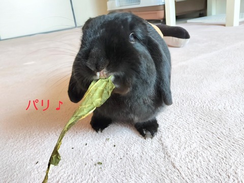 D18592AB-2650-487E-86A5-194405EEEC8D