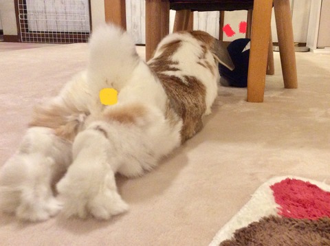 3401C3CE-0BF4-43E0-B31C-7D5CCDA32164