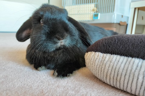 2062E685-B4FC-4014-8EA7-6BB2F9F2BE53