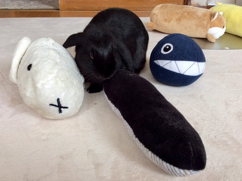 BFC63798-F6B9-4585-9A7D-1187F6BB24B8