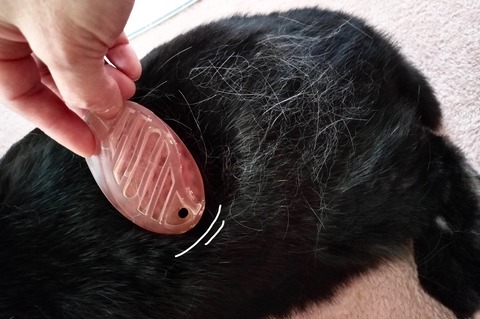 938DC4BE-26ED-4E0C-A38A-61829D453EBF