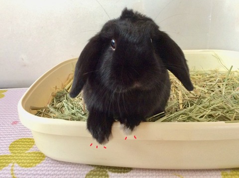 560A6BBB-1469-428E-82D7-1940F8C7B7A2