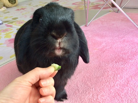 BB172247-E5BA-4D1F-811F-CBDF5081EE9C